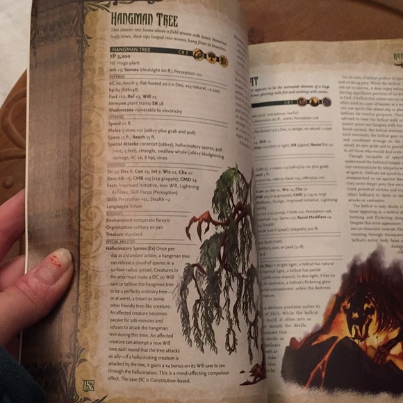 Pathfinder roleplaying game book #1 - Picture 5 of 17